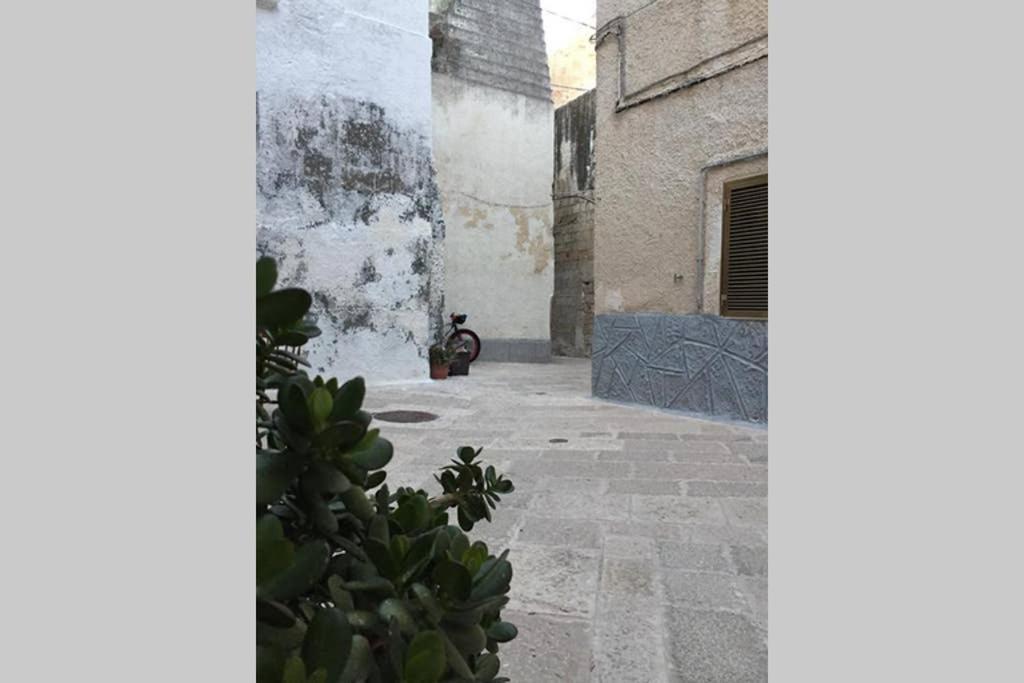 Historic Apartment In Centre Of City 100M To Sea مونوبولي المظهر الخارجي الصورة